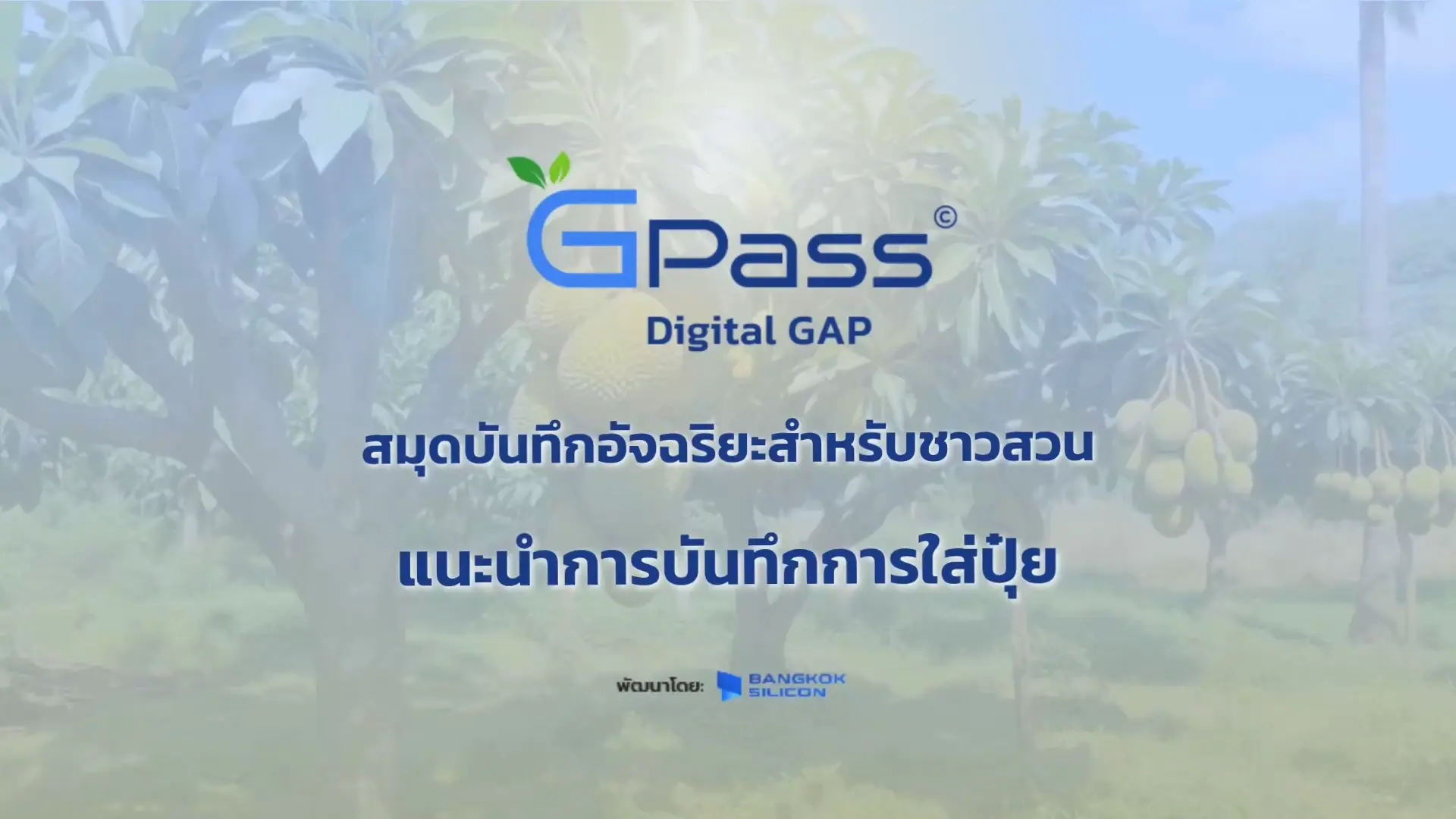 การใส่ปุ๋ย